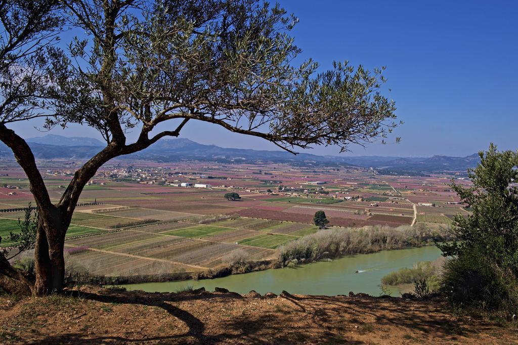 Ca La Maria Apartment Mora d'Ebre Bagian luar foto