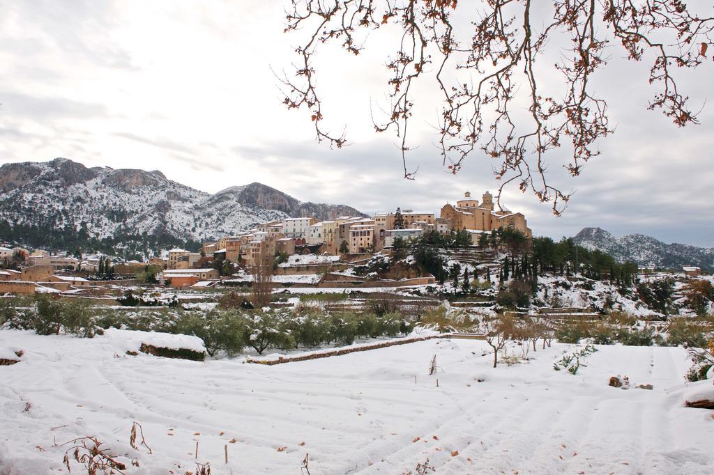 Ca La Maria Apartment Mora d'Ebre Bagian luar foto